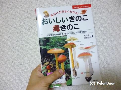 キノコの本、図鑑を何冊か見てまいりました。