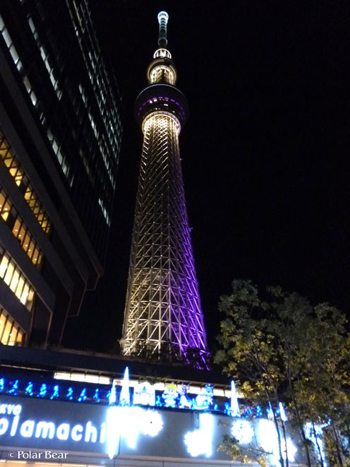 ソラミ坂広場から見上げた東京スカイツリーです（＾＾）