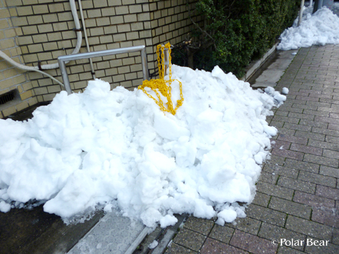 15日の雪は（＾＾）