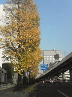 今日の永田町です☆