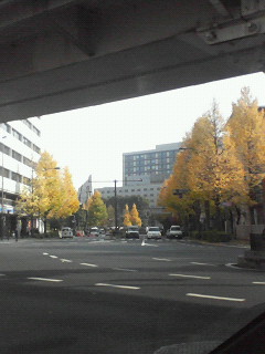 今日の永田町です☆