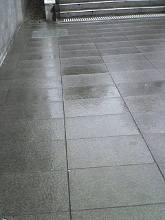 昨夜の天気予報で、東京は雨でした(^ー^;