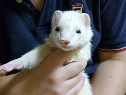今日のわさびさんとあずちゃんです(^^)