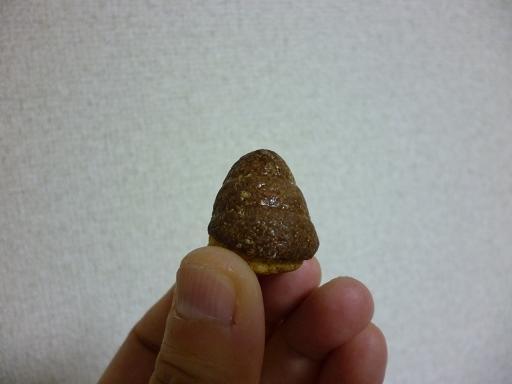 【オフィスおやつ】チョコまで焼いた たけのこの里です!