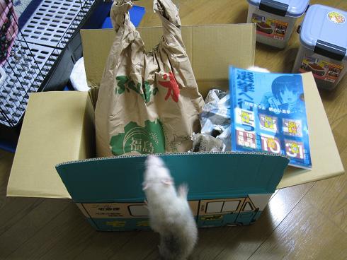 お米まつり☆=