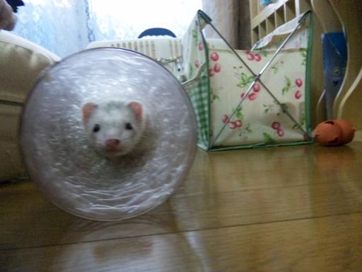 わさびさんのお気に入りのトンネルです!