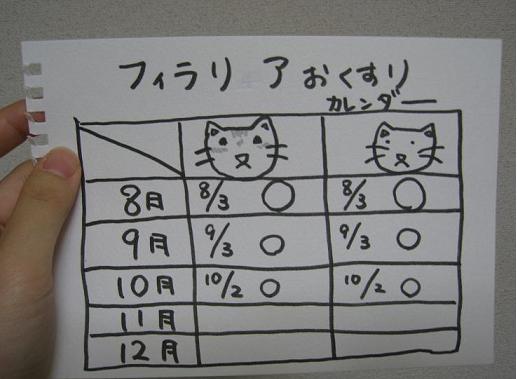 フェレットのわさびさんとあずちゃんのお薬カレンダー