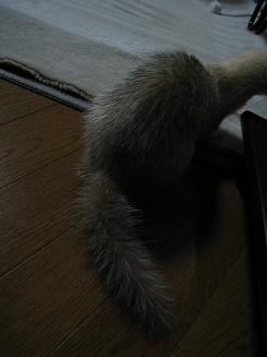 今日のわさびさんです!20101121