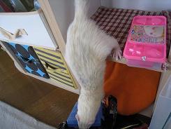 近頃のわさびさんの趣味です(^^)(2011/06)