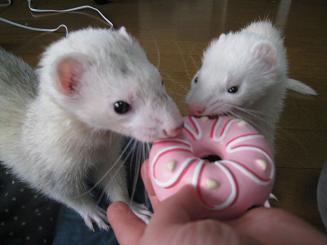 お誕生日プレゼントをいただきました(^^)