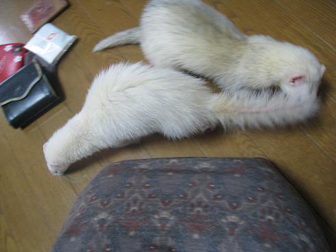 美味しいいちごをいただきました♪