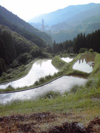 はじめマルシェ