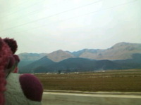 山山山。