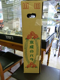 京成バラ園より新苗コレッタ届きました♪