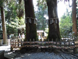 神々の里 高千穂へ