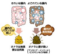 腸美力(^-^)v part2