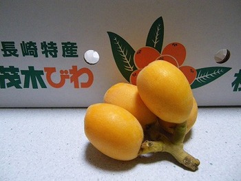 旬の食べ物
