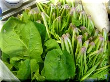 ほうれん草
