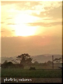 夕日