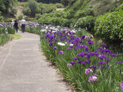 あさぎり町 天子の水公園
