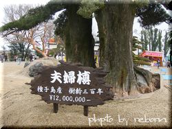 1200万の槇