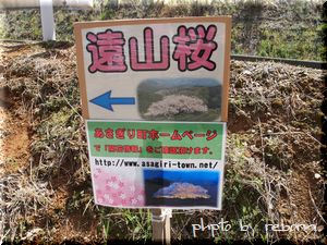 遠山桜の案内板