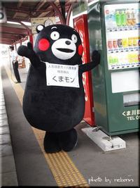 くまモンがカッパを探しに球磨川鉄道に乗ってます