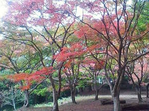 あさぎり町麓城址