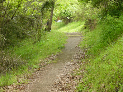 秀望のツツジへ行く山道