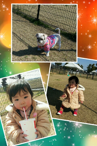ワンちゃんのお参りとドッグラン