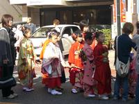 西岡神社大祭ー牡丹引きー