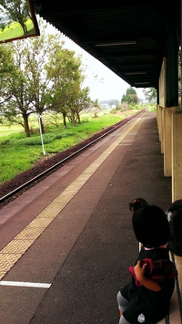 プチ旅 プチ旅