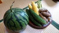 頂き物