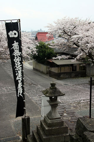 清正公と本妙寺と桜、遠くに熊本城 清正公と本妙寺と桜、遠くに熊本城