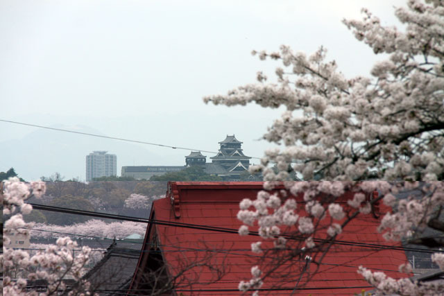 清正公と本妙寺と桜、遠くに熊本城 清正公と本妙寺と桜、遠くに熊本城