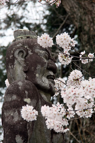 花粉症が心配? 花粉症が心配?