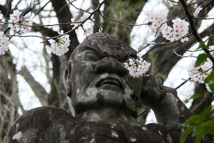 花粉症が心配? 花粉症が心配?