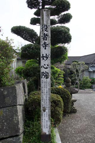 小さな発見 小さな発見