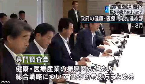 健康・医療戦略 考え方まとめる