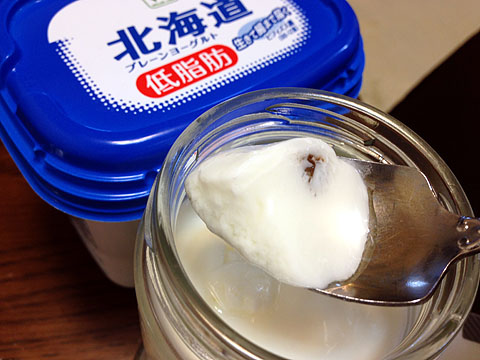 手作りヨーグルトで腸まで届く乳酸菌