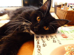 1万円を目指さない 1万円生活♪
