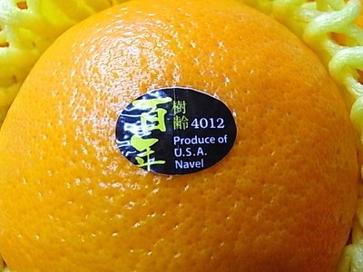 百年オレンジ