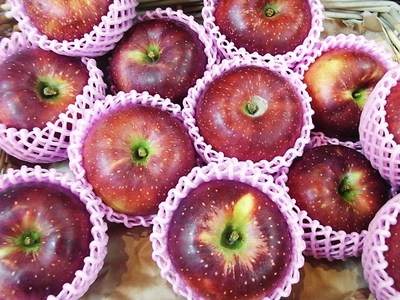 二代目おすすめ秋の味覚 柿とリンゴ