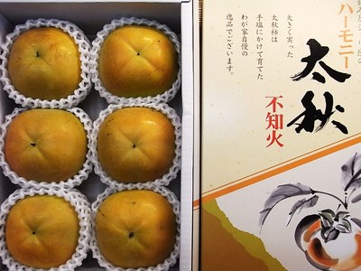 二代目おすすめ秋の味覚 柿とリンゴ