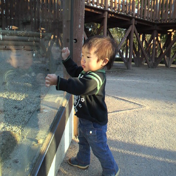動物園