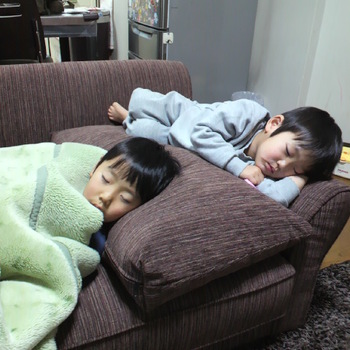 生きてるだけで丸儲け!