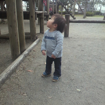 公園遊び