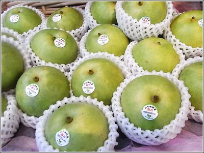 二十世紀梨が入荷