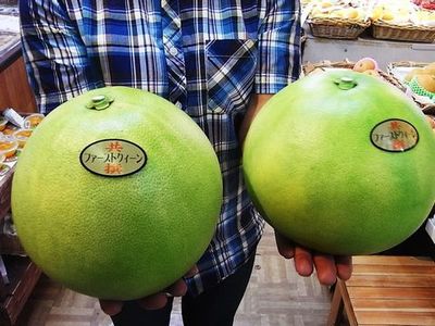 ファーストクイーン先行販売