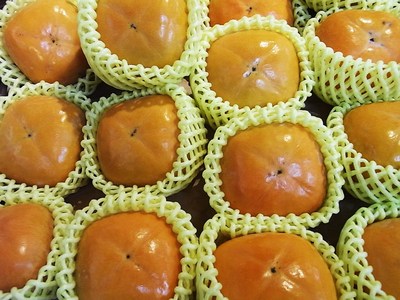 ばってん甘柿と北斗のトキ?